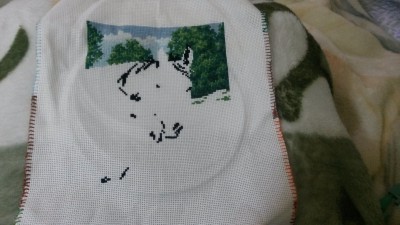 20150131_142401.jpg