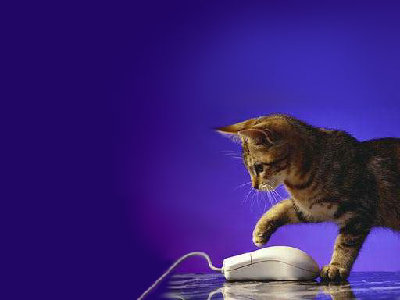 cat+mouse.jpg