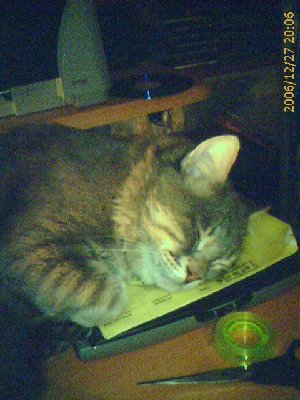 IMAGE_00100.jpg
