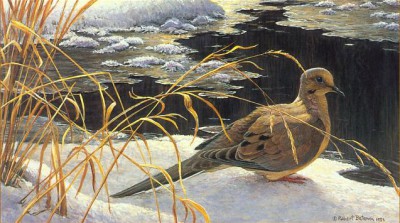 Robert-Bateman.-Animalisticheskaya-zhivopis.-Kartina-tretya.jpg