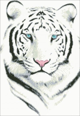 white_tiger.jpg